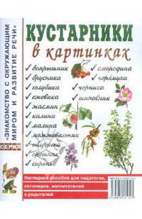 Кустарник в картинках: Наглядное пособие для педагогов, логопедов, воспитателей и родителей: Приложение к пособию Т.А. Шорыгиной "Кустарники. Какие они? - (Знакомство с окружающим