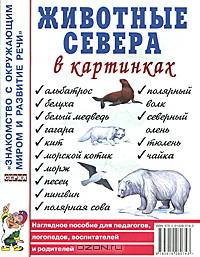 Животные севера в картинках. Наглядное пособие для педагогов, логопедов, воспитателей и родителей