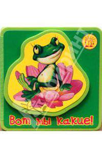 Книжки-пышки с аппликацией / Вот мы какие!