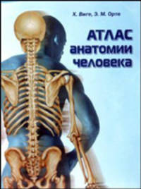 Атлас анатомии человека