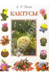 Кактусы