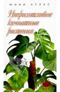 Неприхотливые комнатные растения