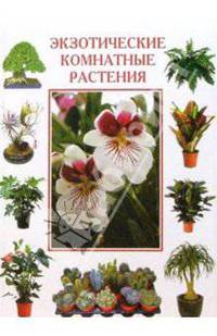 Экзотические комнатные растения