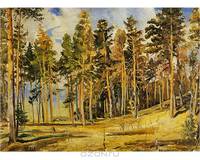 Государственный Русский музей. Альманах, №194, 2008. Иван Шишкин