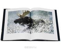 Государственный Русский музей. Альманах, №248, 2009. Роберт Бейтман / Robert Bateman
