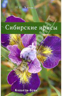 Сибирские ирисы