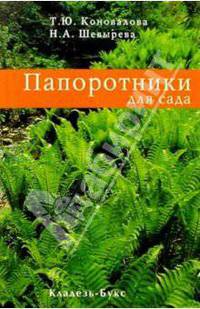 Папоротники для сада