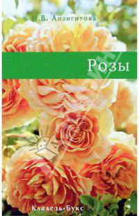 Розы