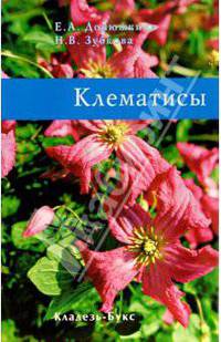 Клематисы