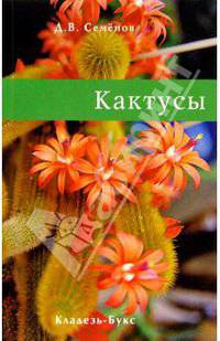 Кактусы