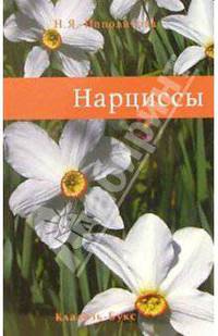Нарциссы