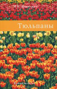 Тюльпаны
