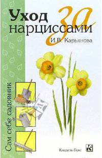 Уход за нарциссами