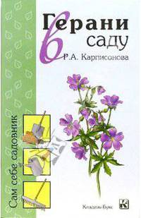 Герани в саду