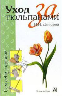 Уход за тюльпанами