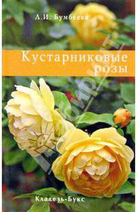 Кустарниковые розы