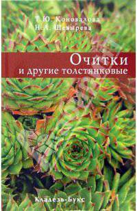 Очитки и другие толстянковые