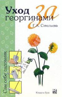 Уход за георгинами