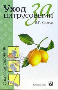 Уход за цитрусовыми