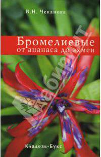 Бромелиевые от ананаса до эхмеи - (Цветы)