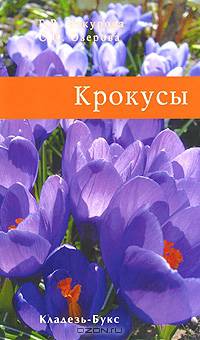 Крокусы