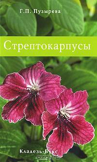 Стрептокарпусы (Hortus Botanicus Principalis)
