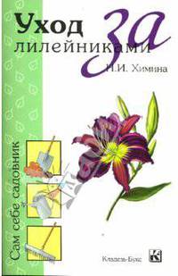 Уход за лилейниками