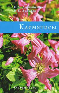 Клематисы