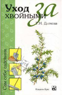 Уход за хвойными