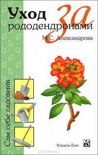 Уход за рододендронами