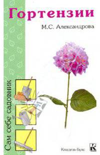 Гортензии