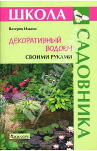 Декоративный водоем своими руками