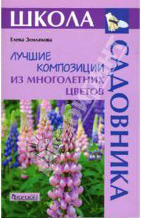 Лучшие композиции из многолетних цветов