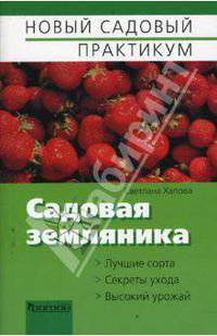 Садовая земляника