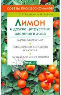Лимон и другие цитрусовые растения в доме. Советы профессионалов.