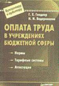 Оплата труда в учреждениях бюджетной сферы - (Серия "Бухгалтеру и аудитору")