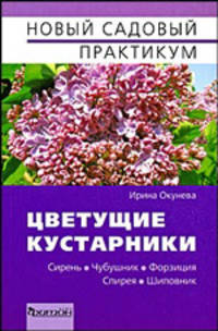 Цветущие кустарники. Сирень. Чубушник. Форзиция. Спирея. Шиповник