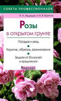 Розы в открытом грунте