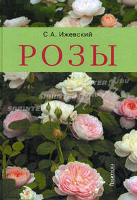 Розы