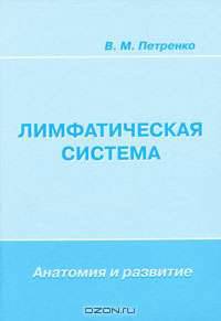 Лимфатическая система. Анатомия и развитие