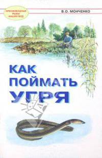 В.О. Монченко: Как поймать угря