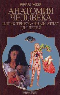 Анатомия человека. Иллюстрированный атлас для детей