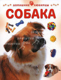 Собака