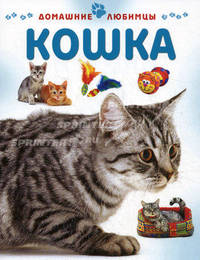 Кошка