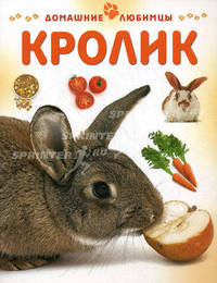 Кролик