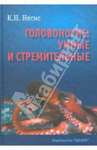 Головоногие: умные и стремительные