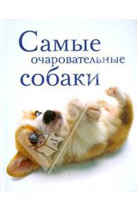 Самые очаровательные собаки