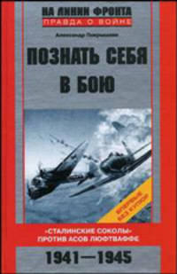 Познать себя в бою. "Сталинские соколы" против асов люфтваффе. 1941-1945 годы