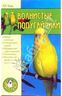 Волнистые попугайчики