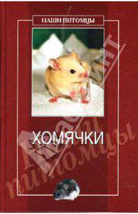 Хомячки - (Наши питомцы)